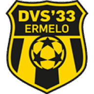 DVS 33