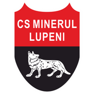 Minerul Lupeni