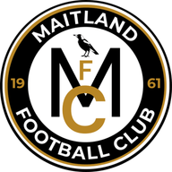 Maitland