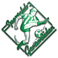 Genemuiden