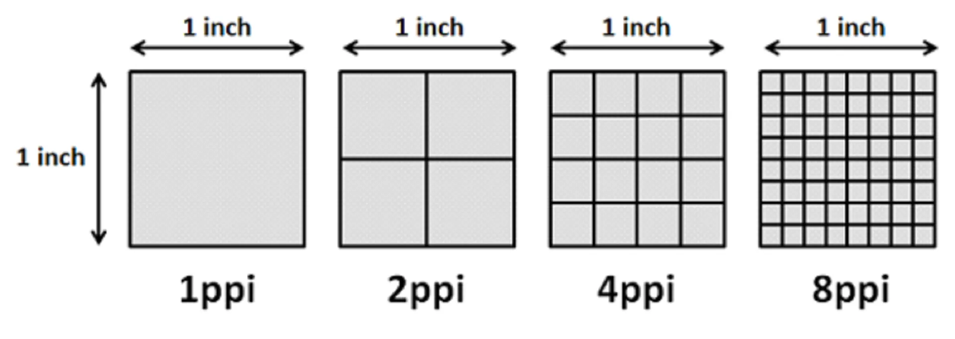 Pixels Per Inch (PPI): The Quality Indicator for Your Screen