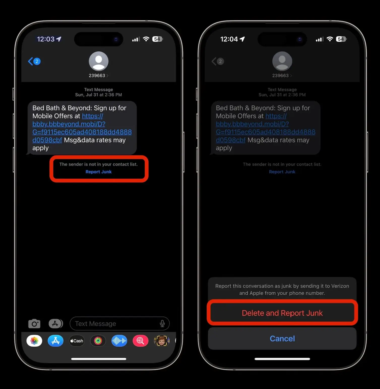 reporting texts messages on iPhone